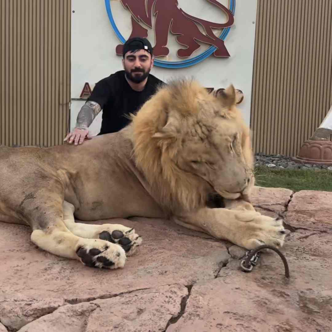 آهنگ جدید رامین تجنگی حکم تیرم بدن اصلا فدای چشماش
